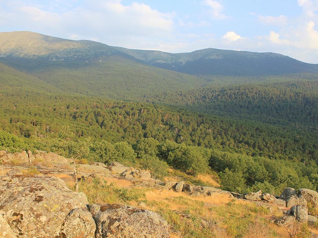 La Querencia De Valsain Affittacamere La Pradera de Navalhorno Esterno foto